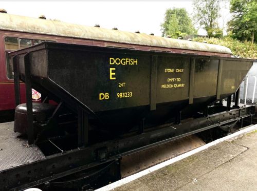 Dogfish - displaying the finished lettering.