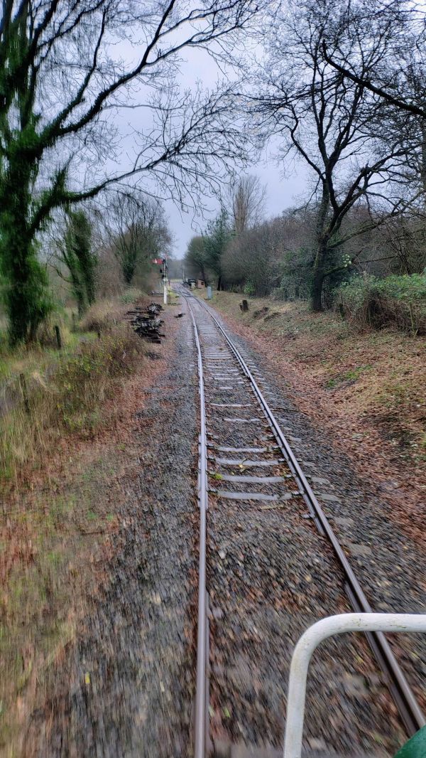 View along the cleared track