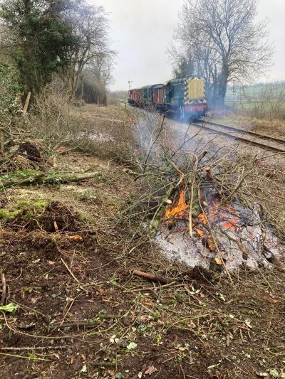 Clearing the scrub along the line