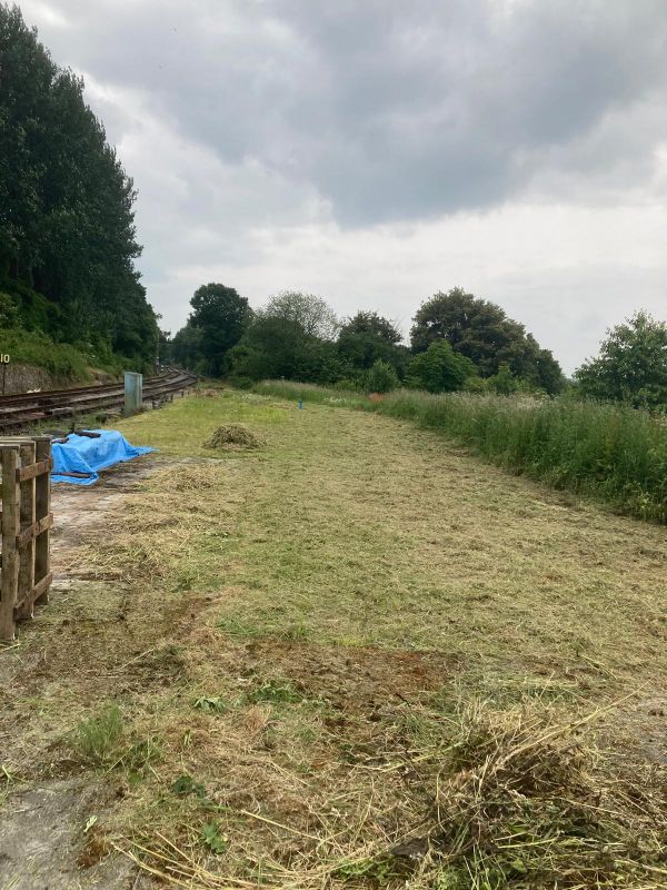 Vegetation Clearance - Somervale 2