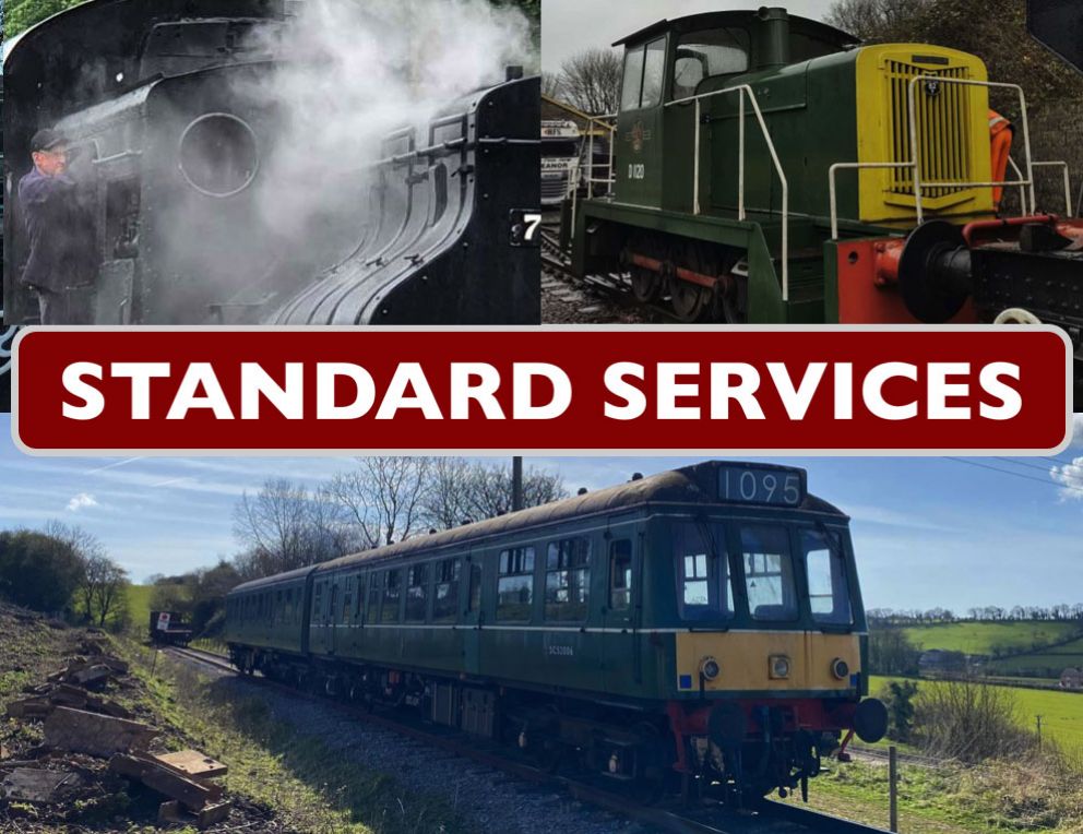 StD Services category image